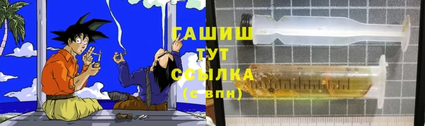 индика Абаза