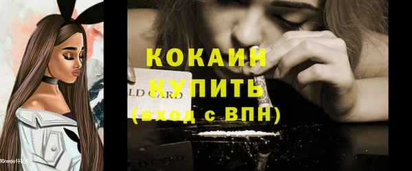 индика Абаза