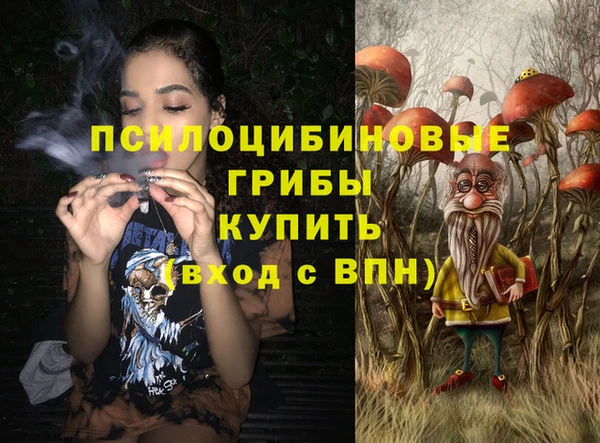 индика Абаза