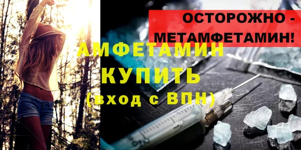 индика Абаза