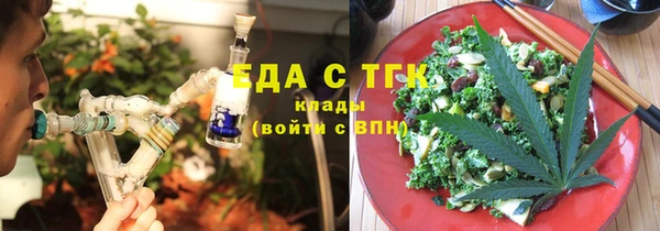 индика Абаза