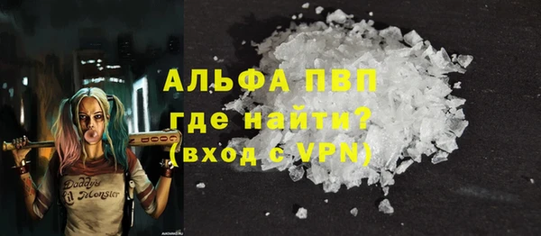индика Абаза