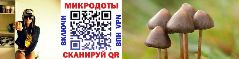что такое   Агидель  Галлюциногенные грибы мицелий 